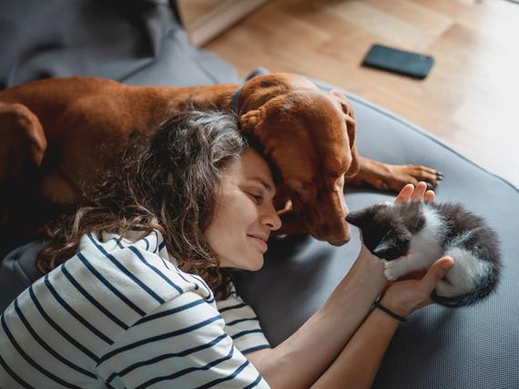 Pet parent on the couch with their dog and cat, bonding for National Pet Month.