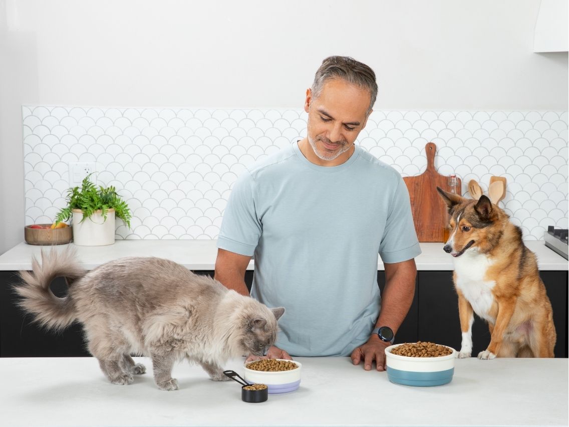 A man stands in a modern kitchen, smiling as he watches a fluffy gray cat eat from a bowl on the white countertop. To his right, a brown and white dog stands on the counter, looking at its own bowl of food.