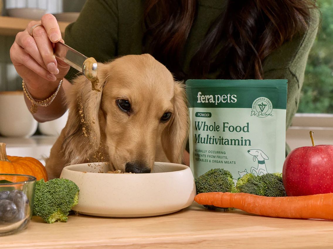 A golden-colored dog with long fur is eating from a white bowl on a wooden counter. A person's hand is adding a spoonful of a brown substance to the bowl. Next to the bowl are fresh vegetables and fruits, including broccoli, carrots, an apple, and a small pumpkin. A green pouch of Fera Pets Whole Food Multivitamin powder is visible in the background.